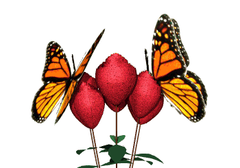 Image result for ภาพเคลื่อนไหวดอกไม้