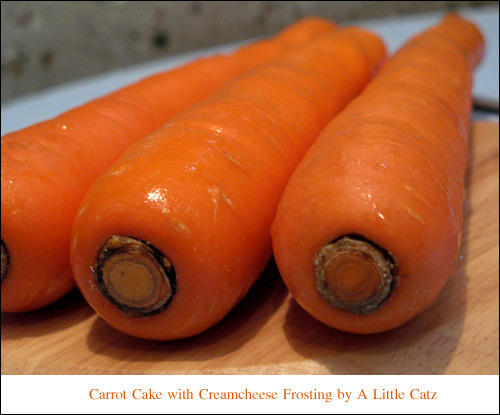 PANTIP.COM : D5650040 Carrot Cake with Cream Cheese 