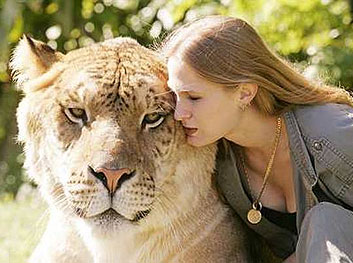 Liger Tigon